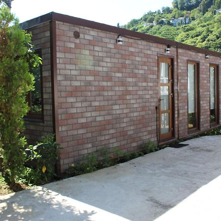 Modular House Green Zyland Y Батумі Екстер'єр фото